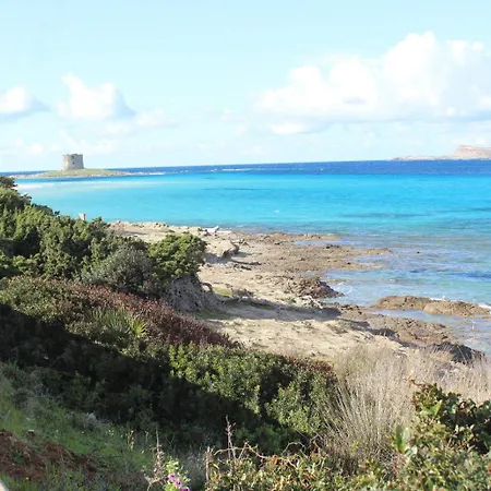 Casa Stintino, Vicino La Pelosa Apartman Stintino