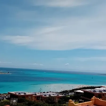 Casa Stintino, Vicino La Pelosa Stintino