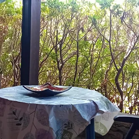 Casa Stintino, Vicino La Pelosa Stintino
